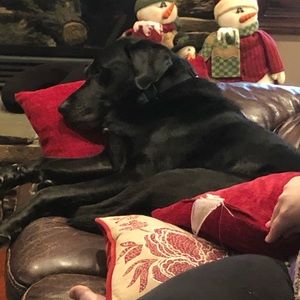 Meet your Posher, Regan